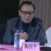 陶西平先生在2015年中国民办教育协会学前教育专业委员会工作会议上讲话