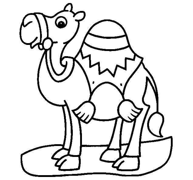 幼儿园动物简笔画:骆驼